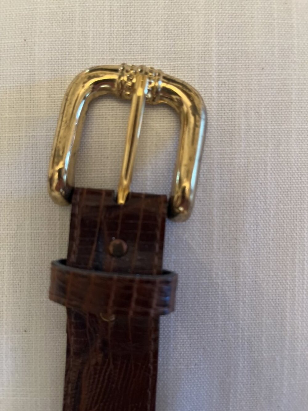 Brown Lizard Embossed Belt Gold Buckle